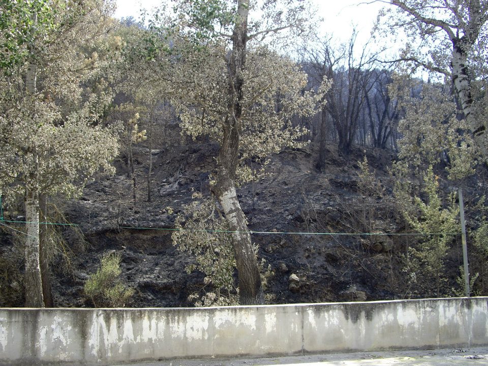 fografias del incendio de 2012 en Artaj