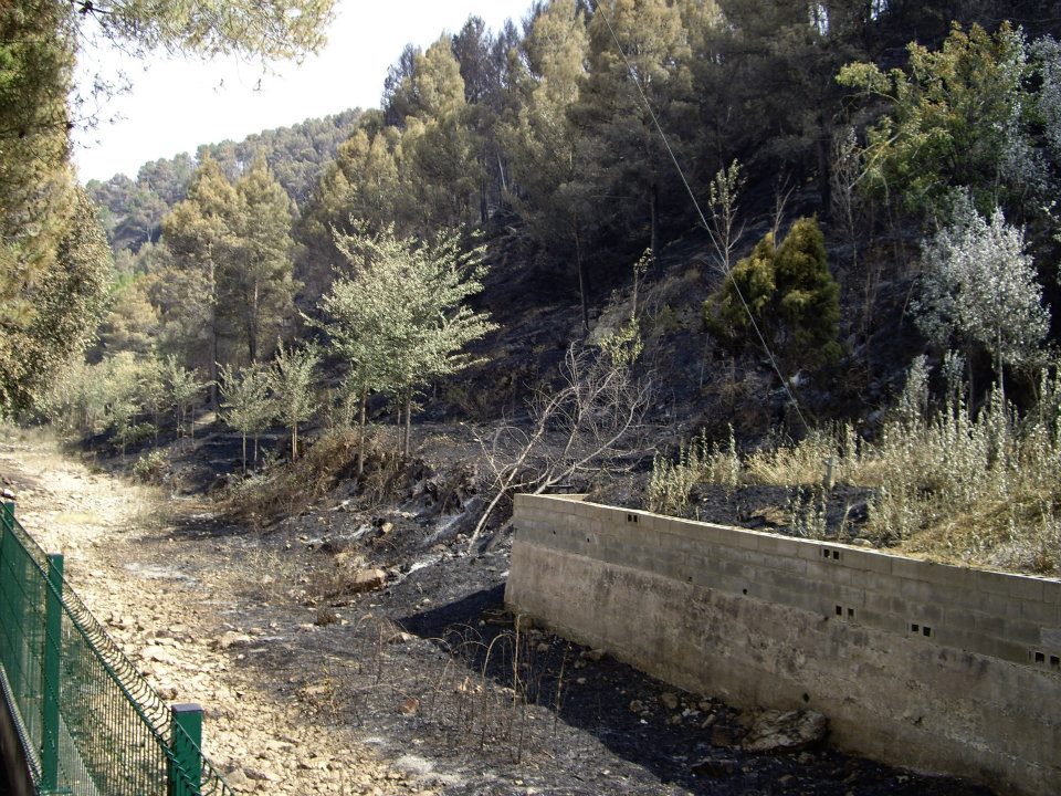fografias del incendio de 2012 en Artaj