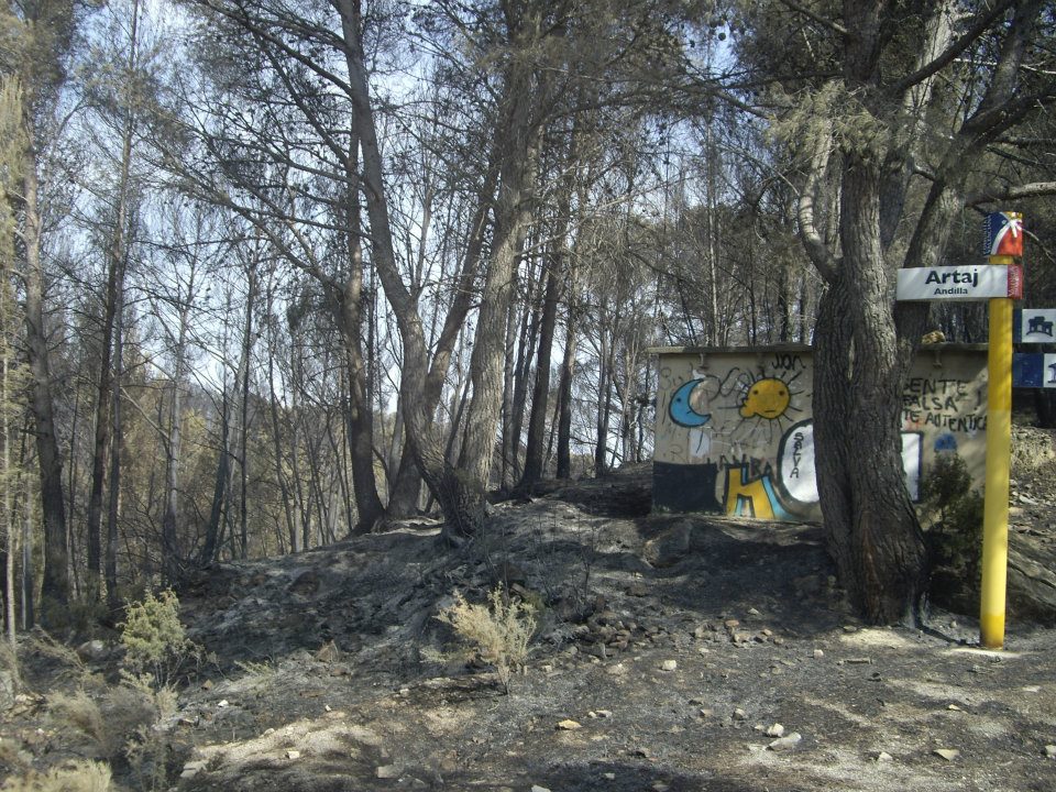 fografias del incendio de 2012 en Artaj