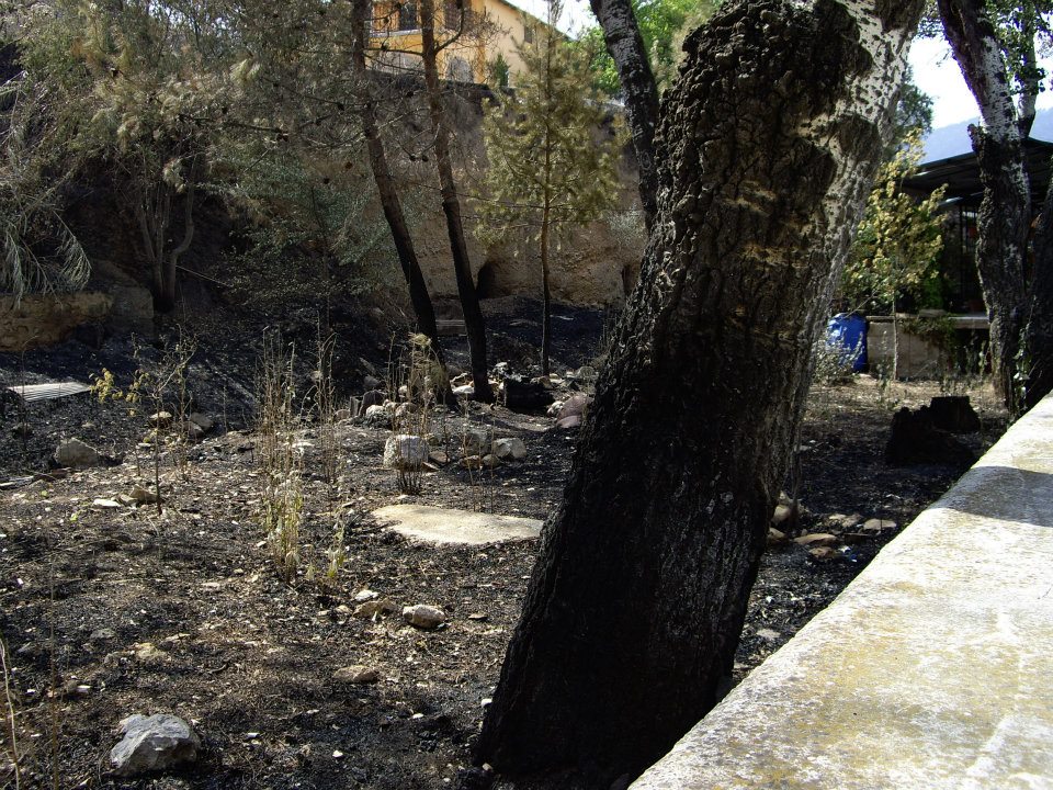 fografias del incendio de 2012 en Artaj