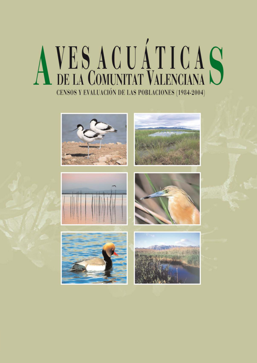 Aves acuáticas de la Comunidad Valenciana