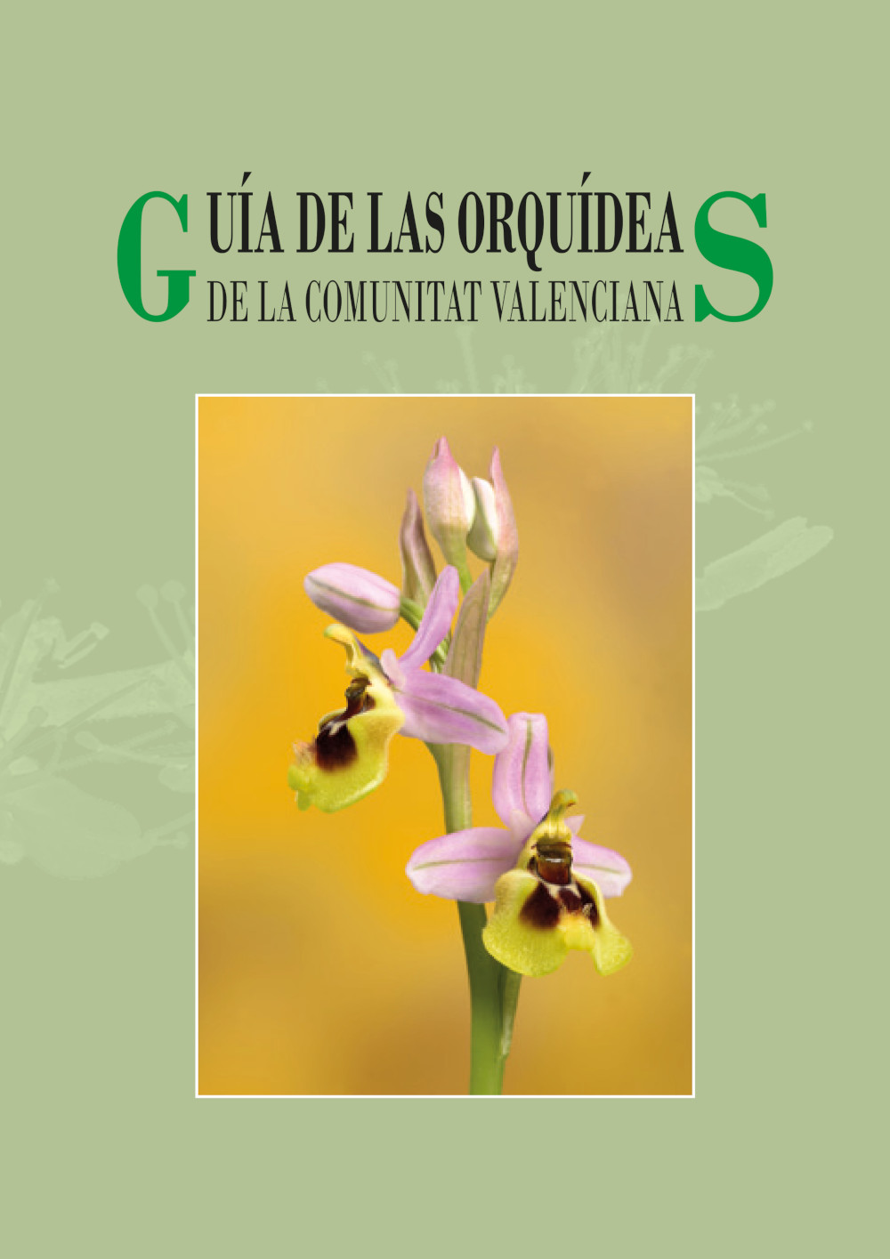 Guía de las orquídeas de la Comunidad Valenciana