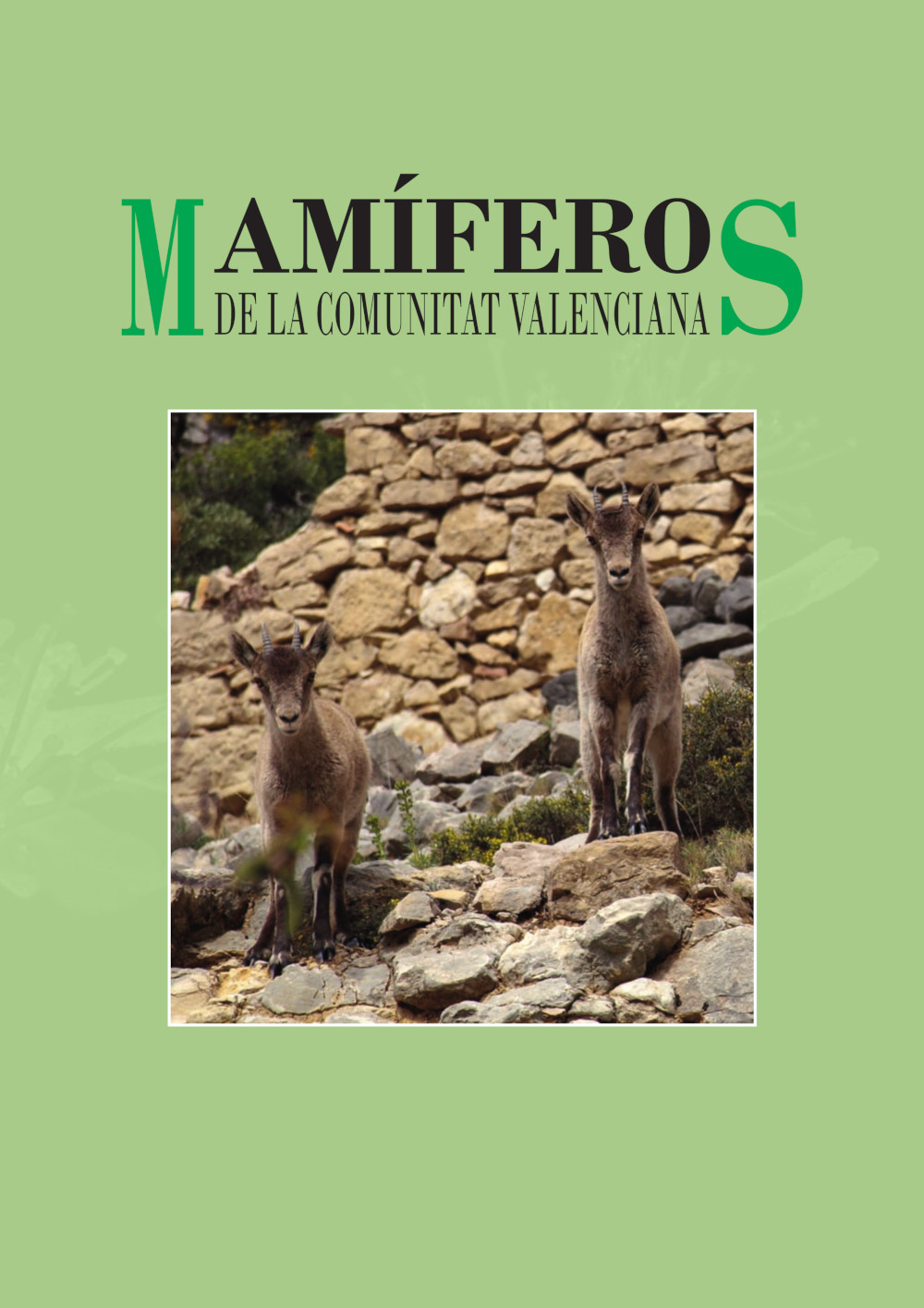 Mamíferosdela Comunidad Valenciana