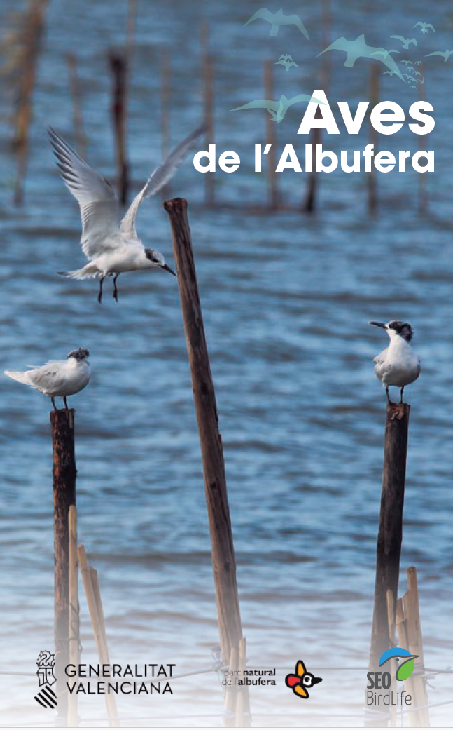 Las aves de la albufera