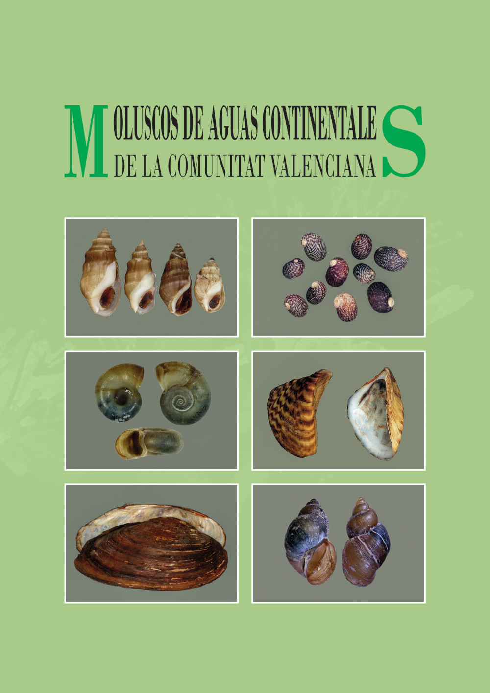 Moluscos de la Comunidad Valenciana