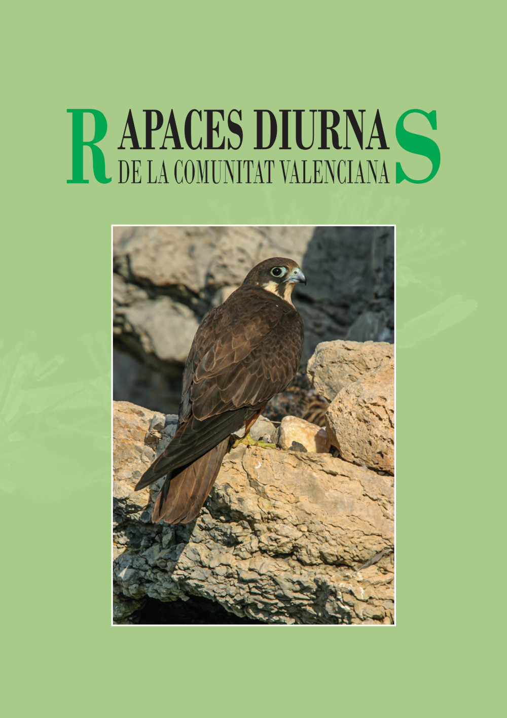 Rapaces diurnas de la Comunidad Valenciana